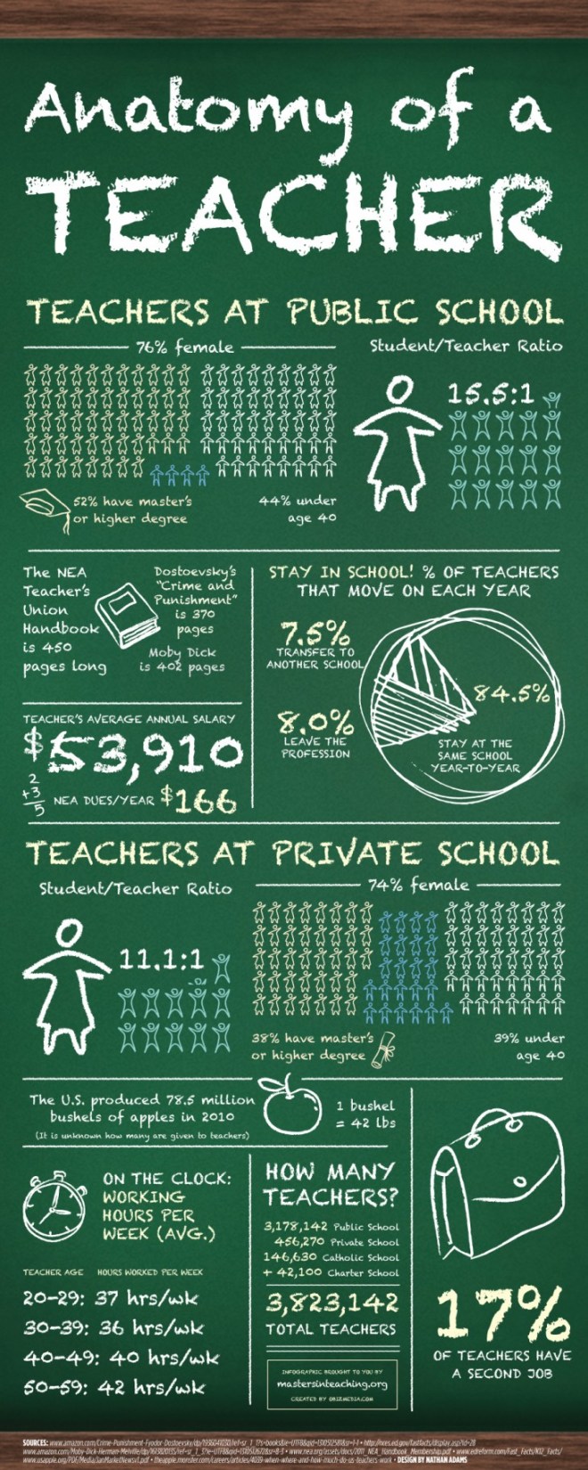 standard-teacher-730x1825